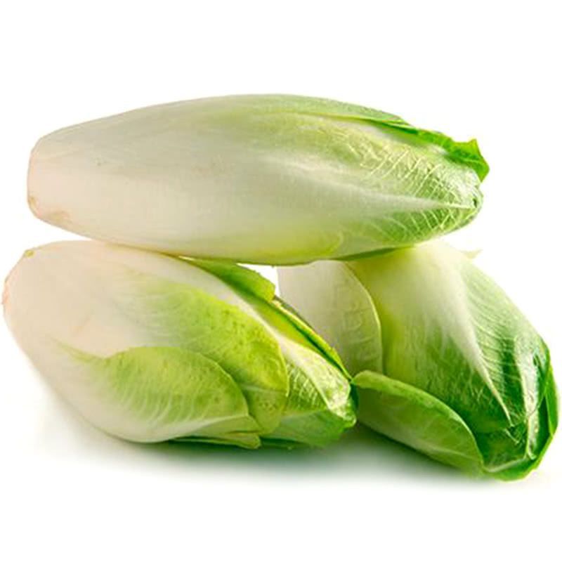 Цикория Италия