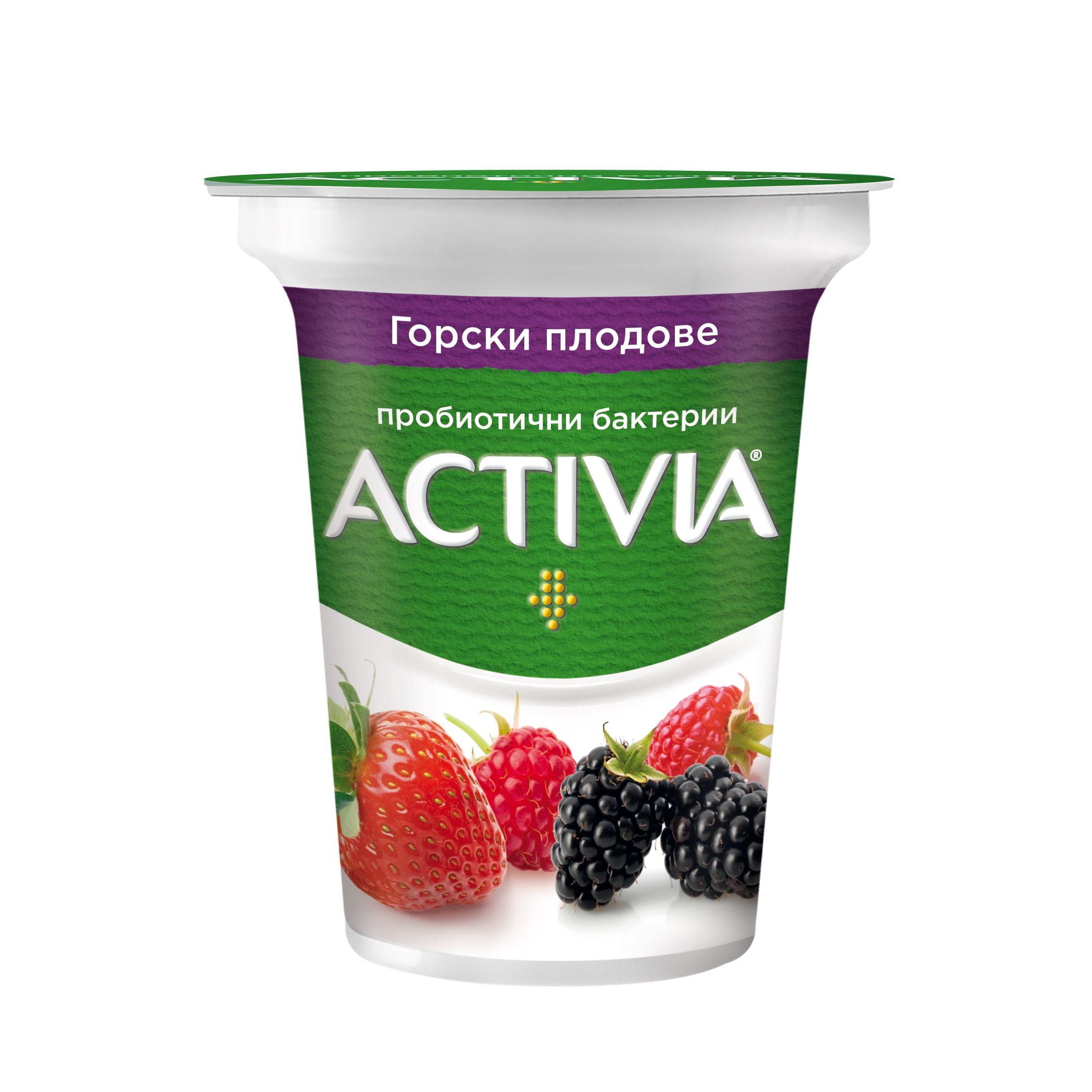 Данон Активиа Горски плод 0,280